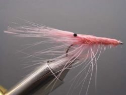 patty-shrimp-pink-462